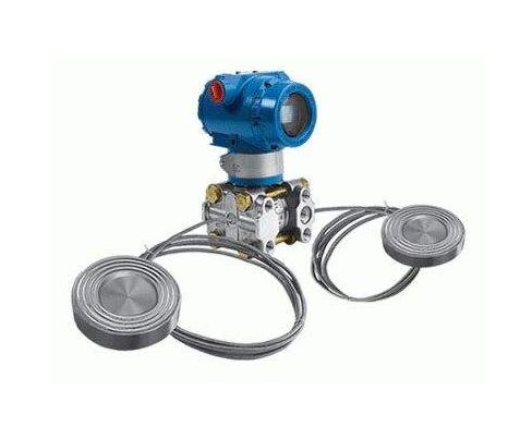 Double flange level transmitter